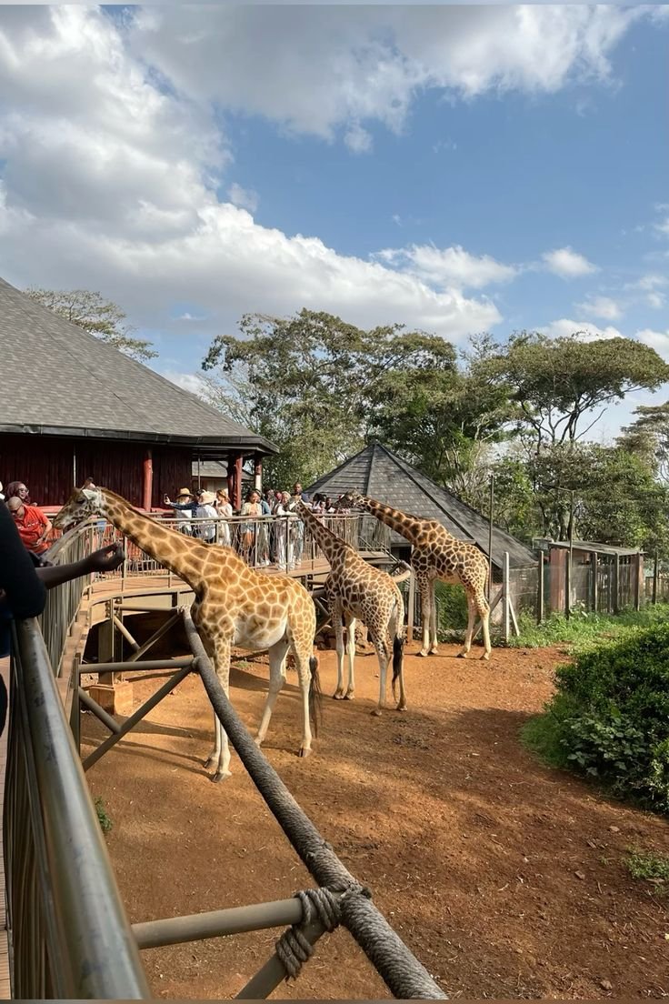 Wildlife and green escapes close to town