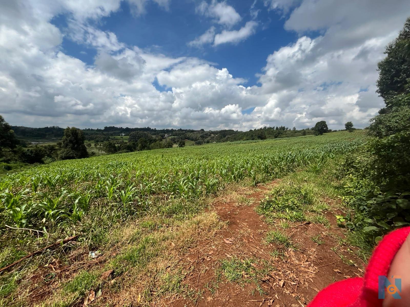 Land for sale in Ondire Kikuyu