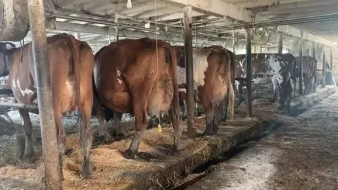 KALRO FARM NAIVASHA