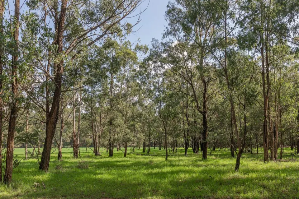 Karura Forest